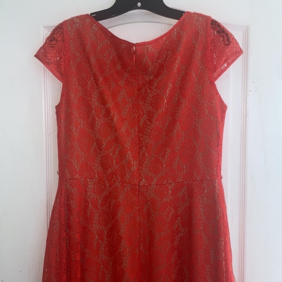 Spring Dress - Picture 4 of 4